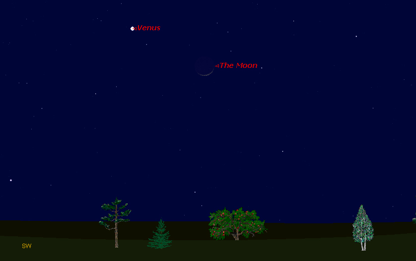 The Moon, Venus Reunite in Night Sky Wednesday
